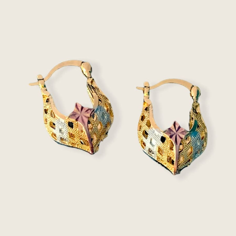 Angie’s hoops earrings in 18k of gold plated earrings