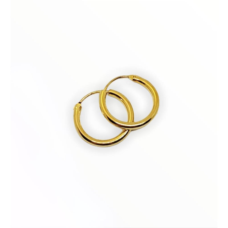 Dainty endeless hoop 18kts of goldplated earrings earrings