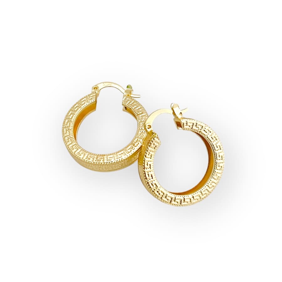 Pisa hoop earrings in 18k of gold plated earrings