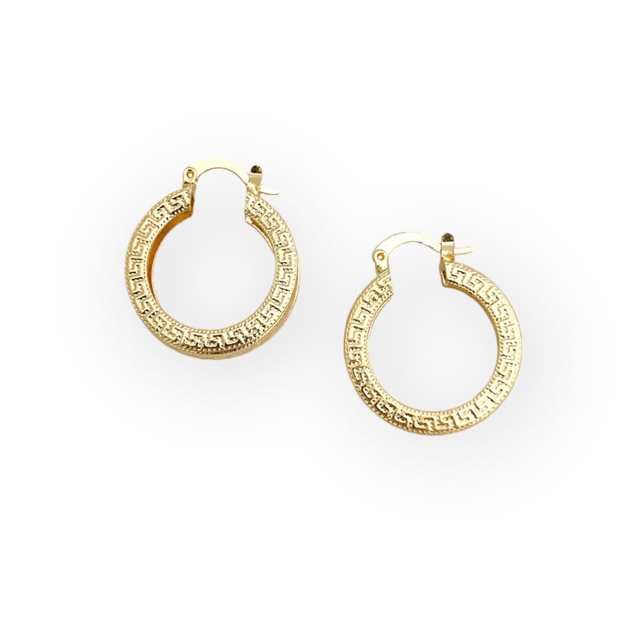 Pisa hoop earrings in 18k of gold plated earrings